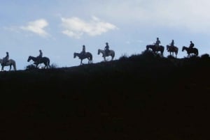 Mendoza: przejażdżki konne o zachodzie słońca z grillem