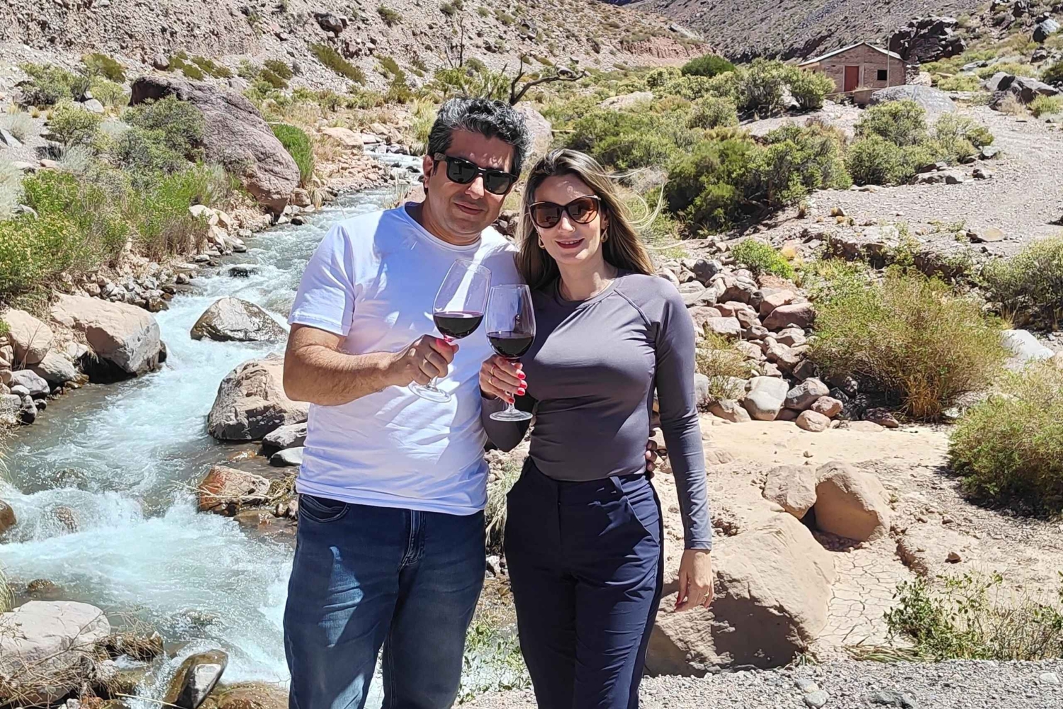 Mendoza : Den bästa privata turen på höga berg - 4x4-stil!