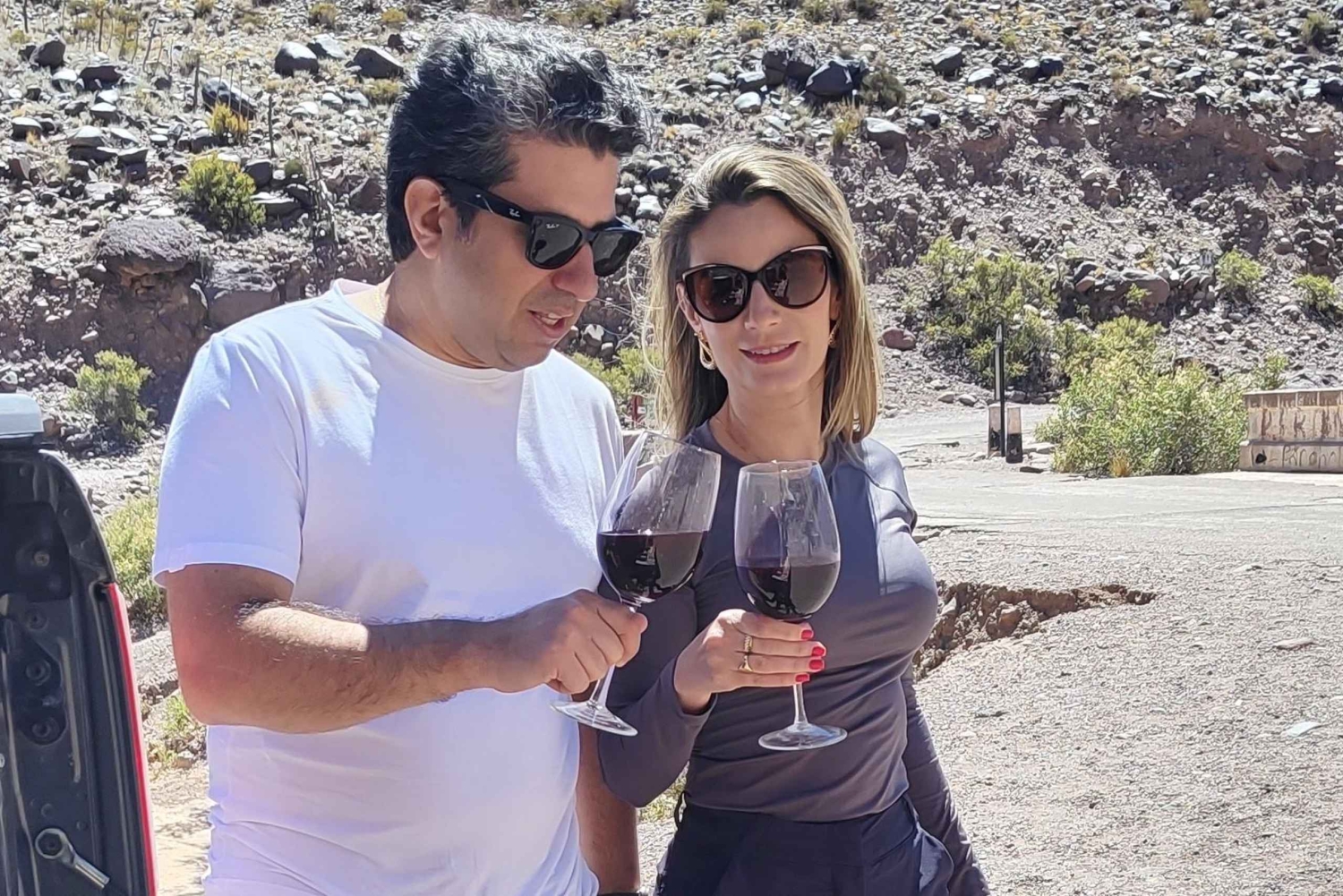 Mendoza : Den bästa privata turen på höga berg - 4x4-stil!