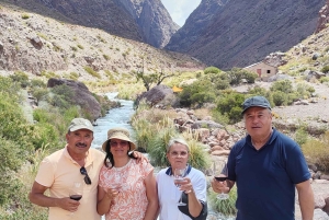 Mendoza : Den bästa privata turen på höga berg - 4x4-stil!