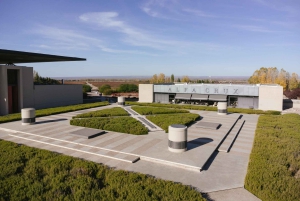 Mendoza: Tour con degustación y almuerzo Bodegas de Altura