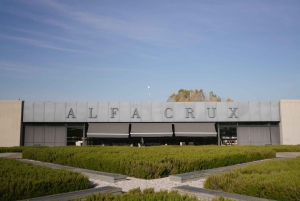Mendoza: Tour con degustación y almuerzo Bodegas de Altura