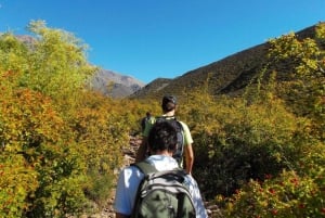 Mendoza: Trekking, Rappel y Tirolina