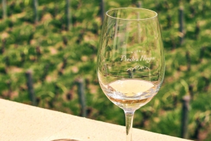 Мендоса: однодневная экскурсия по долине Уко, посвященная вину, культуре и истории