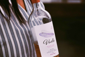 Мендоса: однодневная экскурсия по долине Уко, посвященная вину, культуре и истории