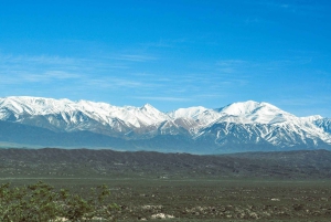 Мендоса: однодневная экскурсия по долине Уко, посвященная вину, культуре и истории