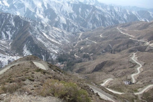 Mendoza: Villavicencio Natural Reserve Tour with Guide