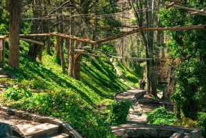 Mendoza: Villavicencio Natural Reserve Tour with Guide