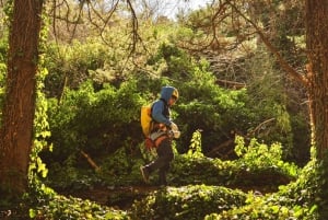 Mendoza : visite guidée de la réserve naturelle de Villavicencio