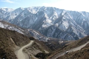Mendoza : visite guidée de la réserve naturelle de Villavicencio