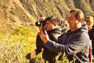 Mendoza : visite guidée de la réserve naturelle de Villavicencio