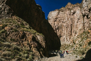 Mendoza: Villavicencio Nature Reserve 4x4 Tour with Lunch