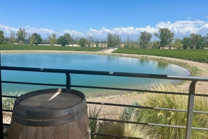 Mendoza: Wine and Bike Tour of Wineries at the foot of the Andes