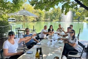 Mendoza: Wine and Bike Tour of Wineries at the foot of the Andes
