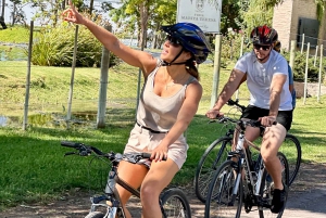 Mendoza: Wine and Bike Tour of Wineries at the foot of the Andes