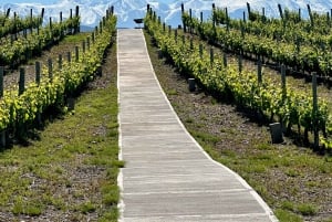 Mendoza: Wine and Bike Tour of Wineries at the foot of the Andes
