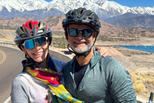 Mendoza: Wine and Bike Tour of Wineries at the foot of the Andes
