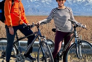 Mendoza: Wine and Bike Tour of Wineries at the foot of the Andes