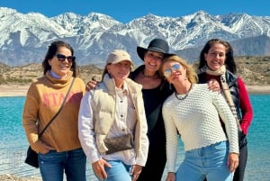 Mendoza: Wine and Bike Tour of Wineries at the foot of the Andes