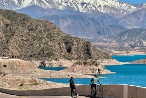 Mendoza: Wine and Bike Tour of Wineries at the foot of the Andes