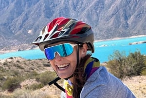 Mendoza: Wine and Bike Tour of Wineries at the foot of the Andes