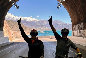 Mendoza: Wine and Bike Tour of Wineries at the foot of the Andes