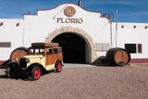 Mendoza: Halbtagestour mit Wein- und Olivenölverkostung