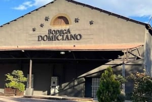 Mendoza: Halbtagestour mit Wein- und Olivenölverkostung