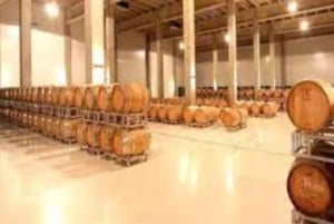 Mendoza: Halbtagestour mit Wein- und Olivenölverkostung