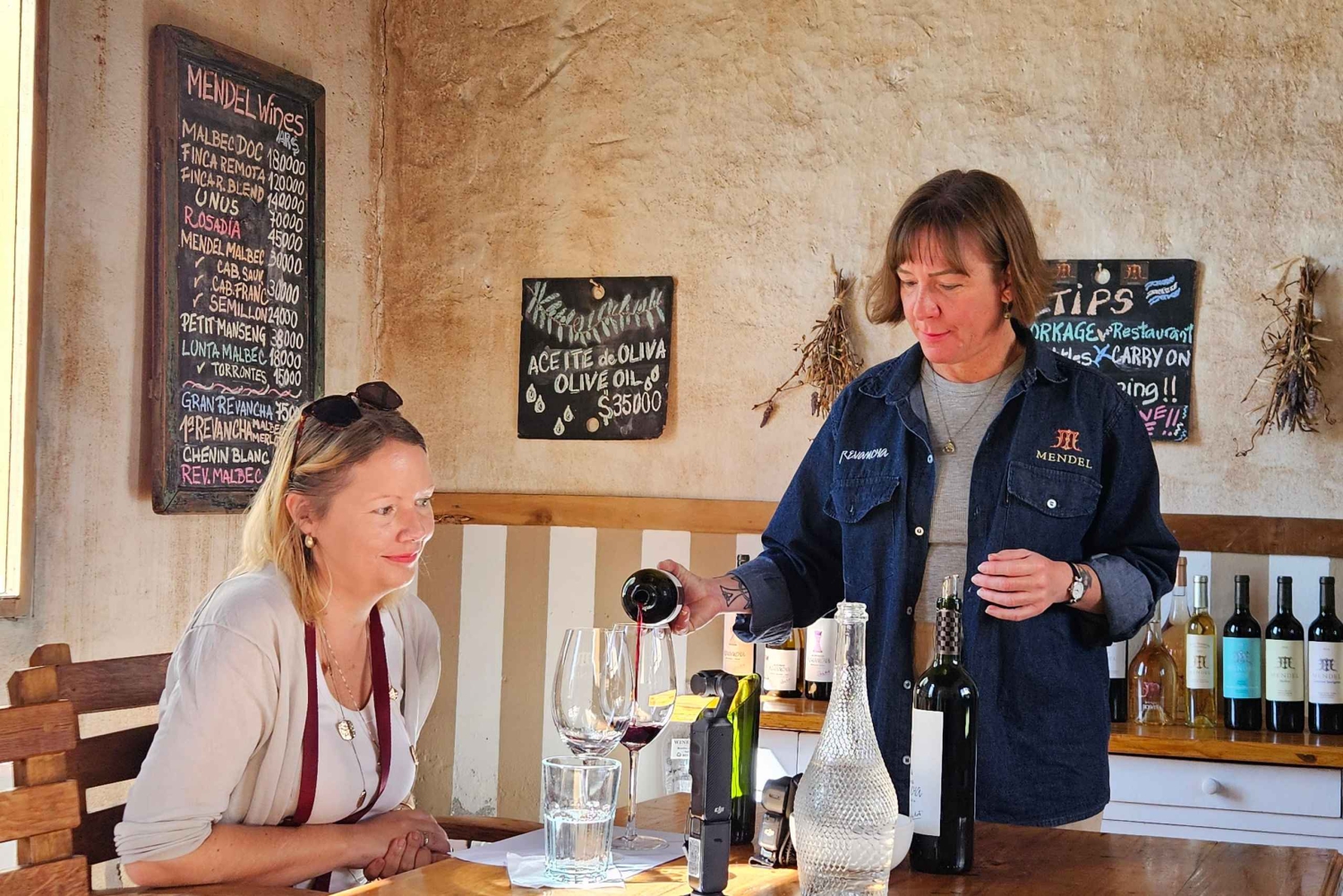 Circuit « Route des vins de Mendoza »