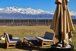 Circuit « Route des vins de Mendoza »