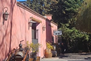 Circuit « Route des vins de Mendoza »