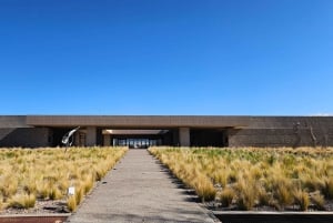 Circuit « Route des vins de Mendoza »