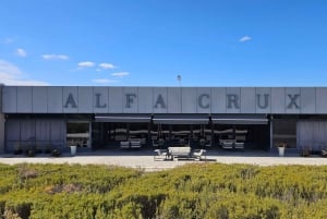 Circuit « Route des vins de Mendoza »