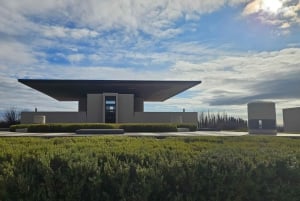 Circuit « Route des vins de Mendoza »