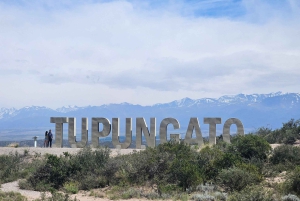 Circuit « Route des vins de Mendoza »