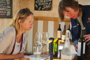 Circuit « Route des vins de Mendoza »