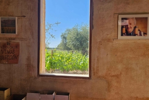 Circuit « Route des vins de Mendoza »