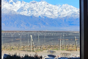 Circuit « Route des vins de Mendoza »