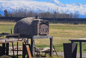 Circuit « Route des vins de Mendoza »