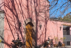 Circuit « Route des vins de Mendoza »