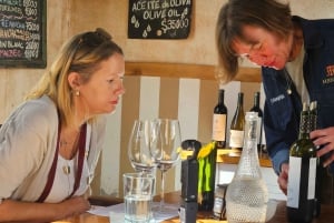 Circuit « Route des vins de Mendoza »