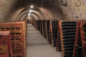 Mendoza: tour de cata de vino con almuerzo de 3 platos