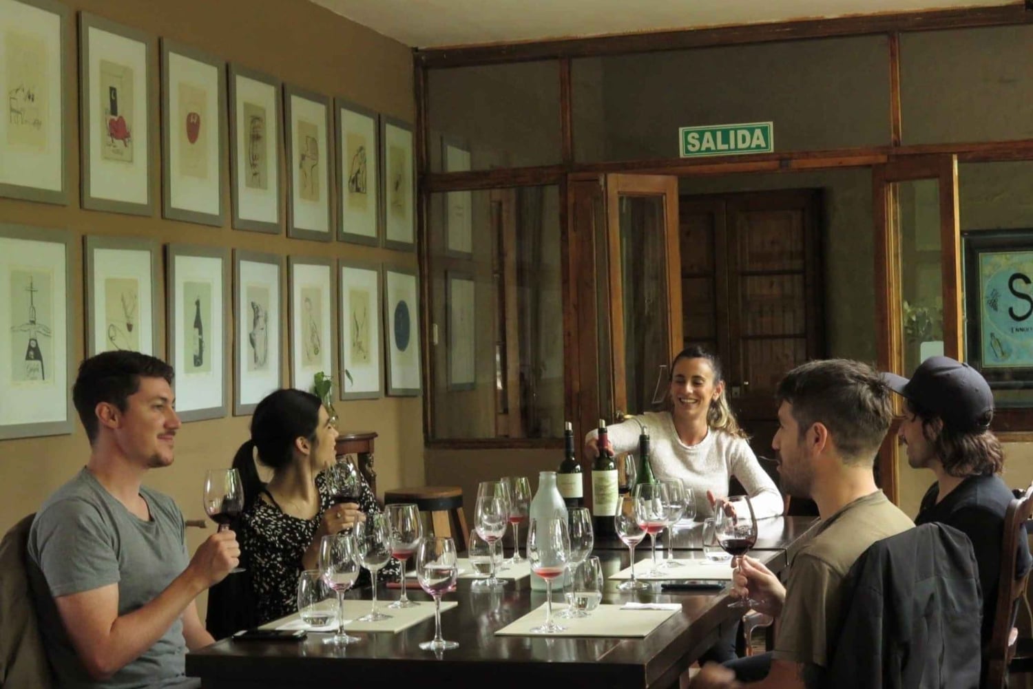 Mendoza: Tour de degustação de vinhos com almoço e transporte particular