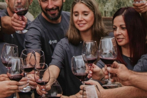 Mendoza: Tour de degustação de vinhos com almoço e transporte particular