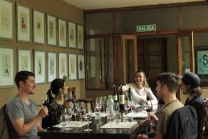 Mendoza: Tour de degustação de vinhos com almoço e transporte particular