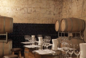 Mendoza: Tour de degustação de vinhos com almoço e transporte particular