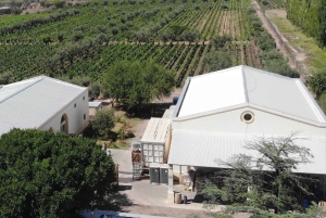 Mendoza: Tour de degustação de vinhos com almoço e transporte particular