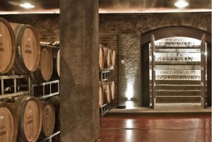 Mendoza: Tour de degustação de vinhos com almoço e transporte particular