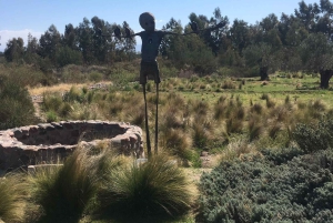 Mendoza: Tour de degustação de vinhos com almoço e transporte particular